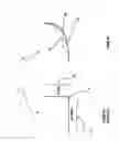 Fig. 09 - Pendulum valve having independently and rapidly controllable theta-and z-axis motion