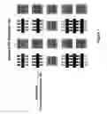 Fig. 02 - MUGFET with optimized fill structures