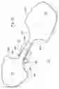 Fig. 23 - One piece flexible skateboard