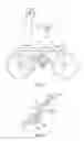 Fig. 05 - Phase independent row motion propelled bicycle