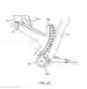 Fig. 16 - Phase independent row motion propelled bicycle