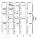 Fig. 05 - Optical circuit for comparing two N-bit binary words