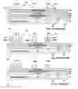 Fig. 02 - Method for integration of magnetic random access memories with improved lithographic alignment to magnetic tunnel junctions
