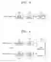 Fig. 04 - Multi-transport stream (TS) generating apparatus and method, and digital broadcasting transmission and reception apparatuses and methods