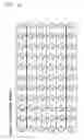 Fig. 101 - Information input output method using a dot pattern