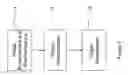 Fig. 02 - OBJECT SEGMENTATION IN IMAGES