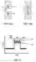 Fig. 12 - Development device with partitioned developer container for reserving liquid developer