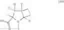 Fig. 07 - BICYCLIC PYRROLIDINE DERIVATIVES