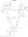 Fig. 22 - BICYCLIC PYRROLIDINE DERIVATIVES