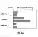 Fig. 06 - Methods and compositions for regulating T cell subsets by modulating transcription factor activity