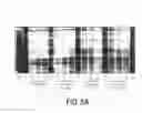 Fig. 09 - Methods and compositions for regulating T cell subsets by modulating transcription factor activity