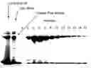 Fig. 01 - Vegetarian Protein A Preparation and Methods Thereof