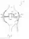 Fig. 02 - Methods of treating a trauma or disorder of the knee joint by local administration and sustained-delivery of a biological agent