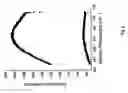 Fig. 07 - Preparation of magneto-vesicles with DOPE/DDAB layers