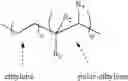 Fig. 02 - Peelable, biaxially oriented polyester film