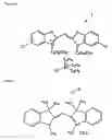 Fig. 03 - Monomethine dye compound, optical information recording medium utilizing the compound and process for producing the same