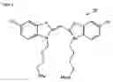 Fig. 06 - Monomethine dye compound, optical information recording medium utilizing the compound and process for producing the same