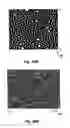 Fig. 32 - Methods for fabricating isolated micro- and nano-structures using soft or imprint lithography