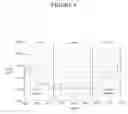 Fig. 07 - 