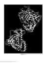 Fig. 131 - Crystal Structure of SMYD3 Protein