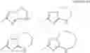Fig. 19 - Imidazoyl pyridine compounds and salts thereof