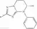 Fig. 209 - Imidazoyl pyridine compounds and salts thereof