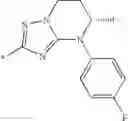 Fig. 213 - Imidazoyl pyridine compounds and salts thereof