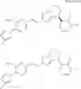 Fig. 236 - Imidazoyl pyridine compounds and salts thereof