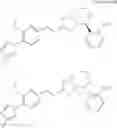 Fig. 238 - Imidazoyl pyridine compounds and salts thereof