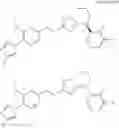 Fig. 243 - Imidazoyl pyridine compounds and salts thereof