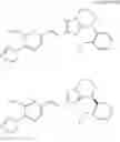 Fig. 260 - Imidazoyl pyridine compounds and salts thereof