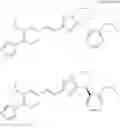 Fig. 65 - Imidazoyl pyridine compounds and salts thereof