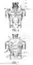 Fig. 02 - Thermal device for application to the spine