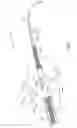 Fig. 02 - Pancreas lead