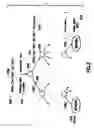 Fig. 09 - Converting between data sources and XML