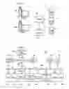 Fig. 02 - METHOD AND APPARATUS FOR UPDATING REFERENCES TO OBJECTS IN A GARBAGE COLLECTION OPERATION