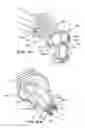Fig. 07 - Bagless dustcup