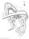 Fig. 09 - Hose reel assembly