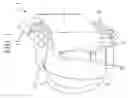 Fig. 02 - Combination scooter/backpack