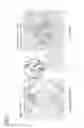 Fig. 08 - Tint block image generation program and tint block image generation device