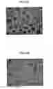 Fig. 12 - Fixer, fixing device, and image forming apparatus
