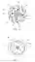 Fig. 06 - Sewage pump