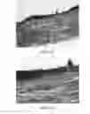 Fig. 06 - Methods and reagents for the enhancement of virus transduction in the bladder epithelium