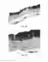 Fig. 07 - Methods and reagents for the enhancement of virus transduction in the bladder epithelium