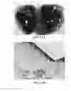 Fig. 35 - Methods and reagents for the enhancement of virus transduction in the bladder epithelium