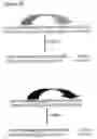 Fig. 08 - Labeling and Sequencing of Nucleic Acids
