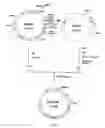 Fig. 07 - Method of producing sugar chain using human G4 polypeptide