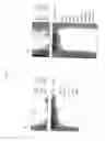 Fig. 19 - Method of producing sugar chain using human G4 polypeptide