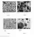 Fig. 02 - Method of obtaining porous ceramics