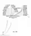 Fig. 28 - and HAC1 nucleic acids